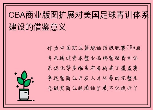 CBA商业版图扩展对美国足球青训体系建设的借鉴意义